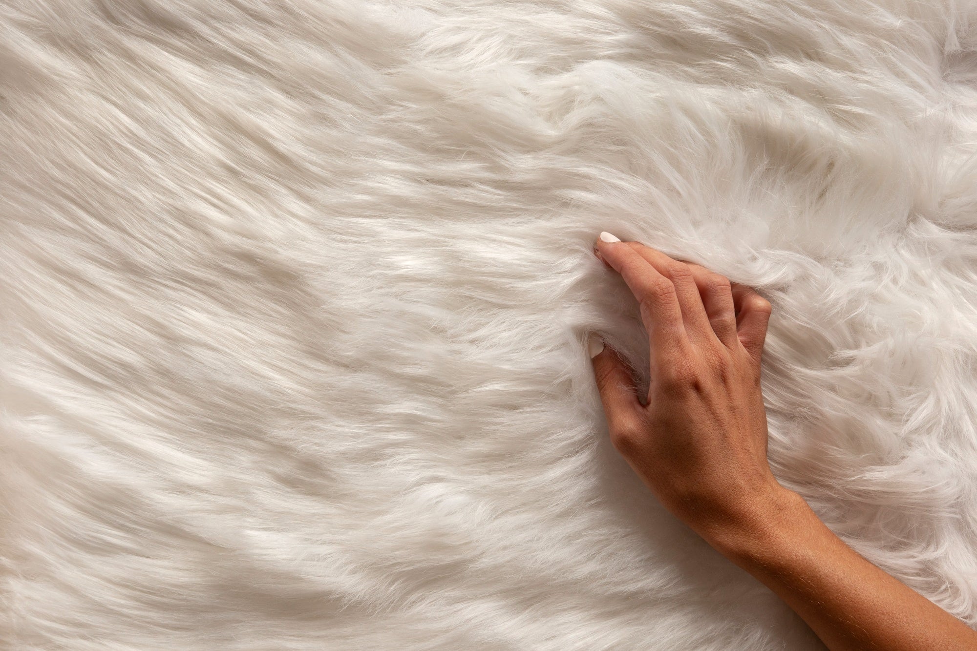 Plush Fluffy and Shaggy Rugs for Ultimate Comfort | Hesari Online NZ