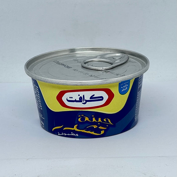 KRAFT Cheddar Cheese 100g
