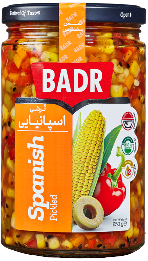 BADR Olives & Veggies in Sauce 650g