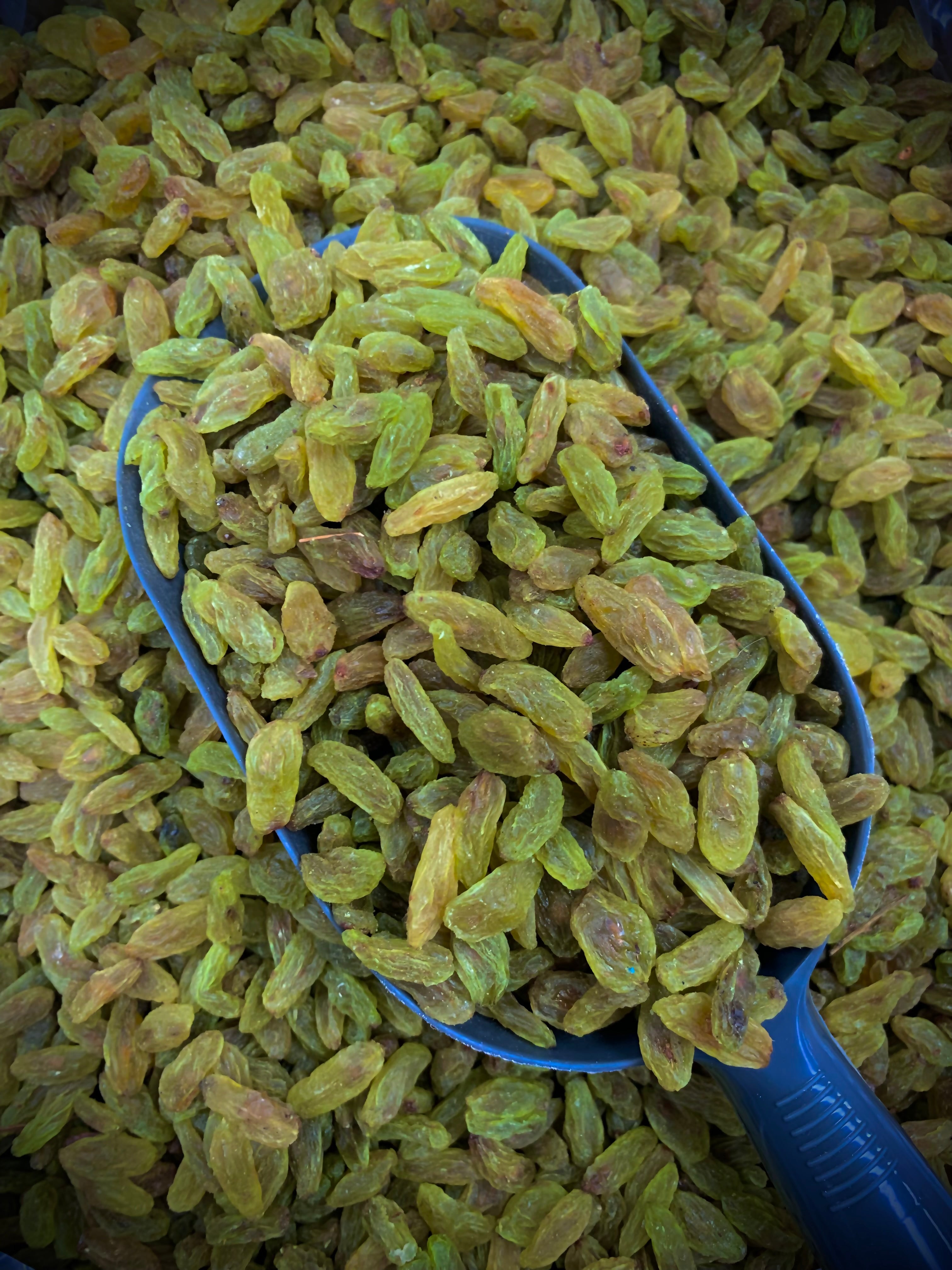 HESARI IR Green Raisins / 1kg