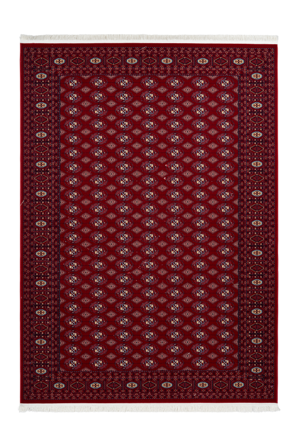 Royal 904 Traditional Red Rug with Border - Lalee Designer Rugs